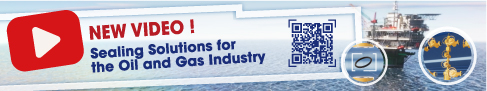 GMORS Sealing Solutions for Oil & Gas Industries